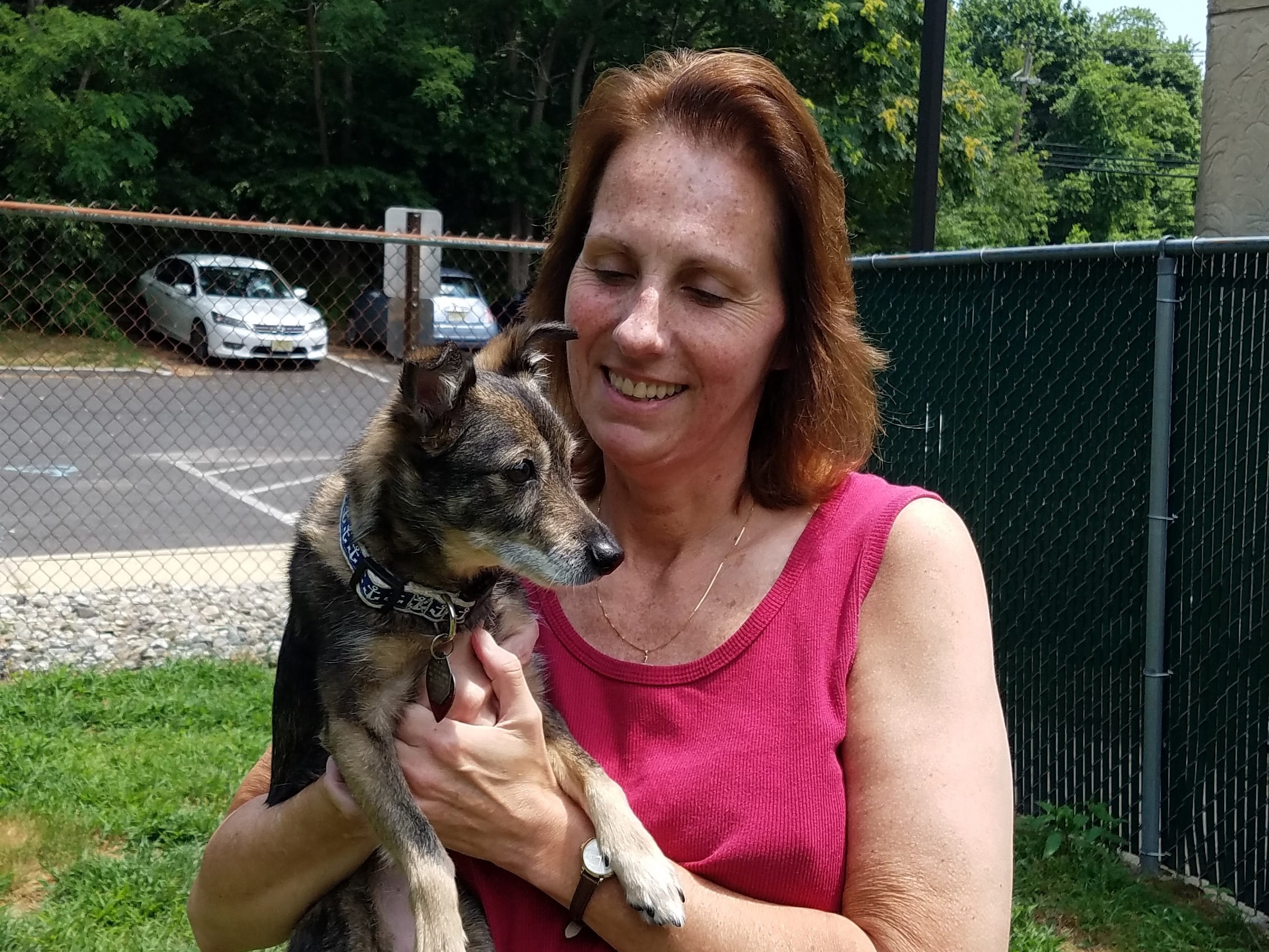 Nancy C Allenwood Animal Hospital