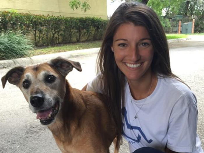 Allenwood Animal Hospital Wall Nj at Nila Williams blog