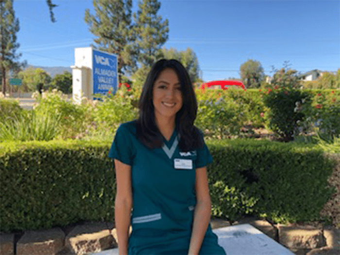 vca almaden animal hospital