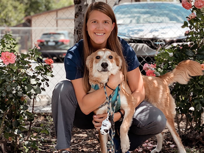 Karen Miyamoto Vca Almaden Valley Animal Hospital