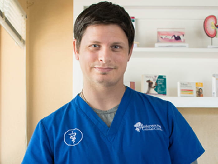 Shane Smith Vca Anderson Mill Animal Hospital