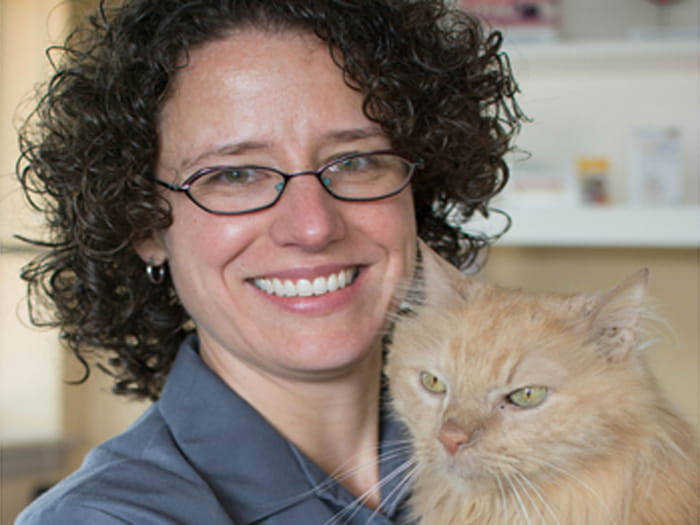 Austin Vets At Vca Anderson Mill Animal Hospital