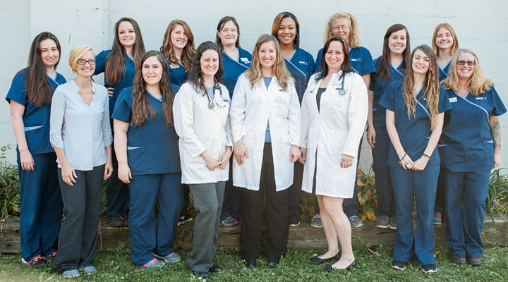 petsmart female guinea pig