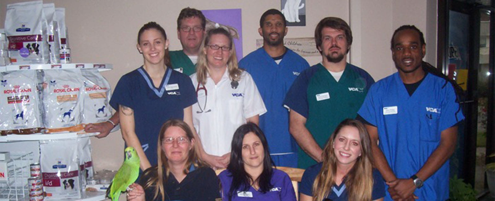 housebreaking a 2 year old dog