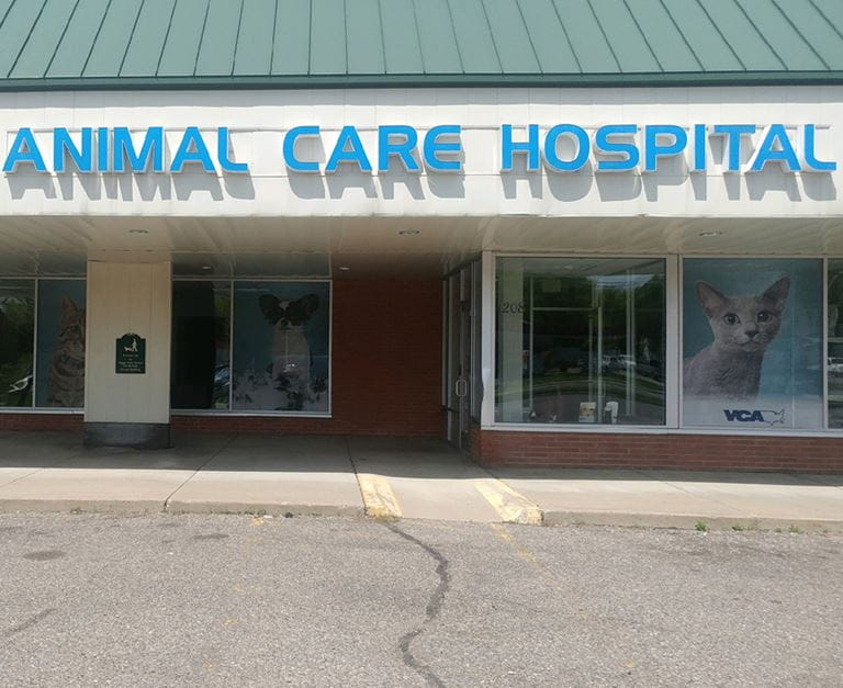 Our Hospital VCA Animal Care Hospital
