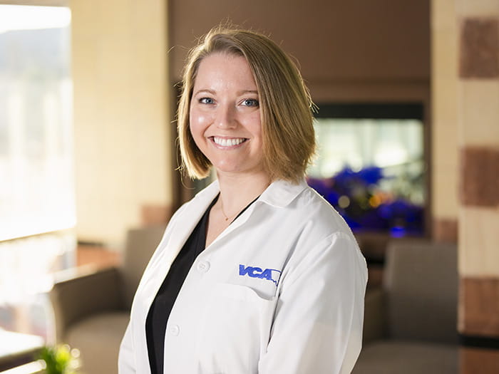 Specialty Veterinarians in Dallas, TX VCA Animal Diagnostic Clinic