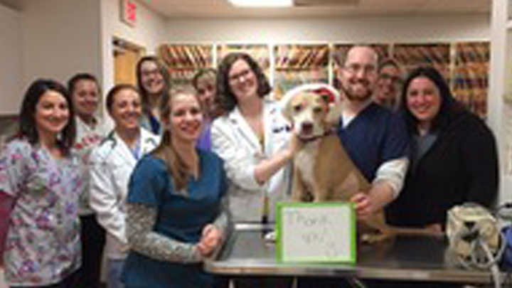 Team Picture of VCA Animal Health Center