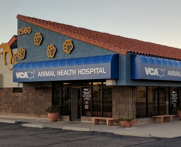 Our Hospital VCA Animal Health Hospital