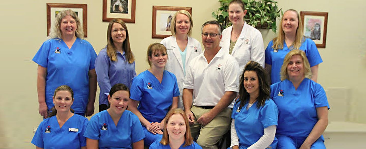 Veterinarians in Plainfield, IN VCA Animal Hospital of Plainfield