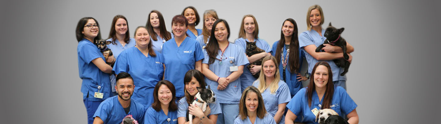 Team Picture of VCA El Cajon Animal Hospital