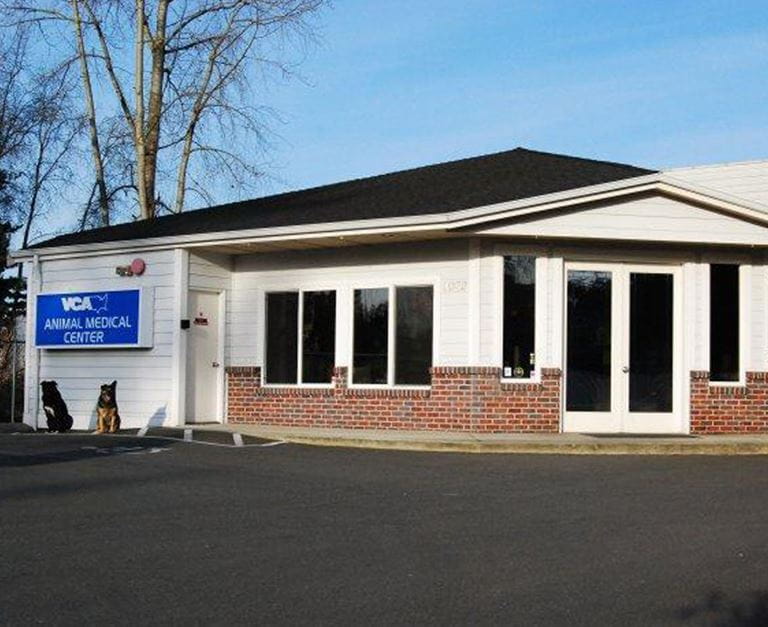 Our Hospital VCA Animal Medical Center