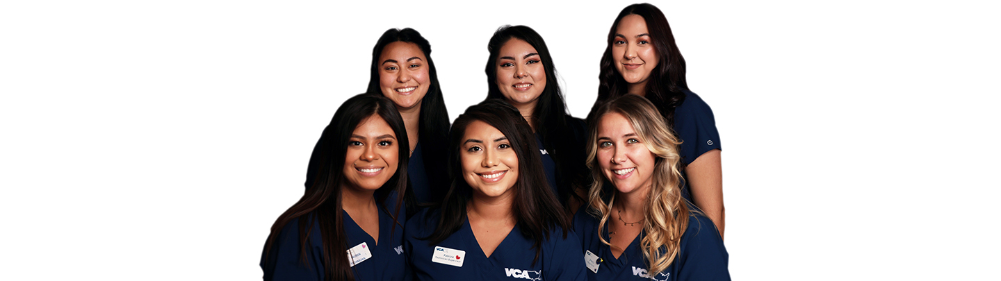 Team Picture of VCA Animal Medical Center of Pasadena