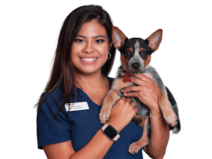 Vca Animal Medical Center Of Pasadena Staff Page
