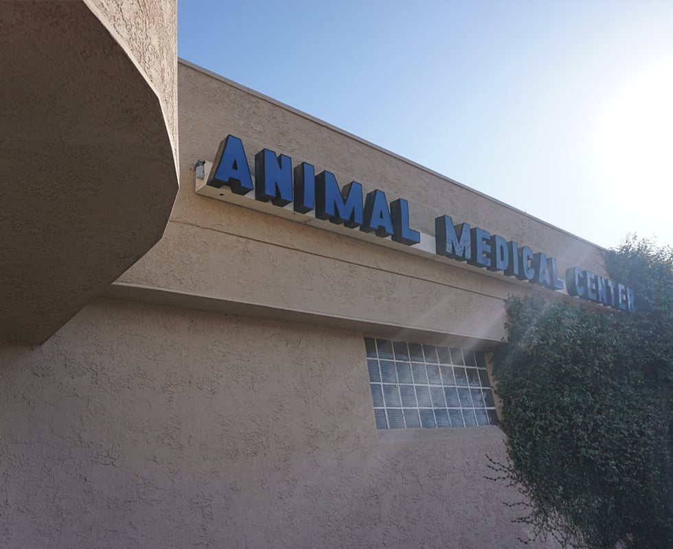 Hospital Picture of VCA Animal Medical Center