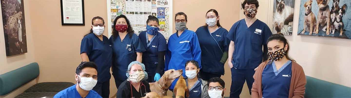 VCA Animal Medical Center Team Picture