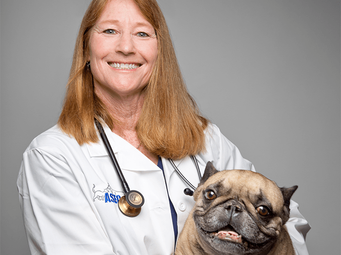 Mary Somerville Vca Animal Specialty Emergency Center