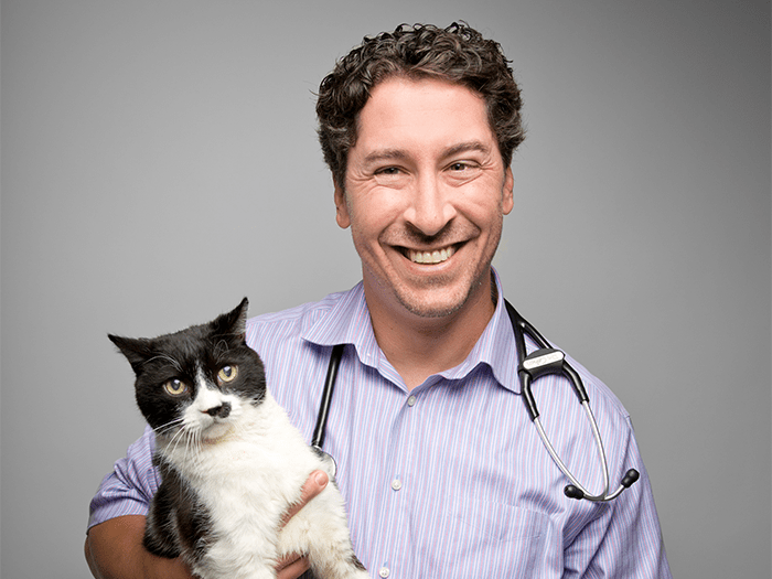 Todd Cohen Vca Animal Specialty Emergency Center