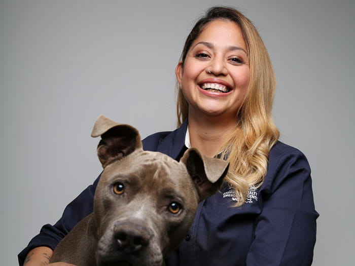 Vca Animal Specialty Emergency Center Staff Page