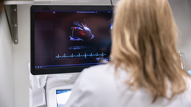 VCA ASEC veterinarian reading a cardiology report