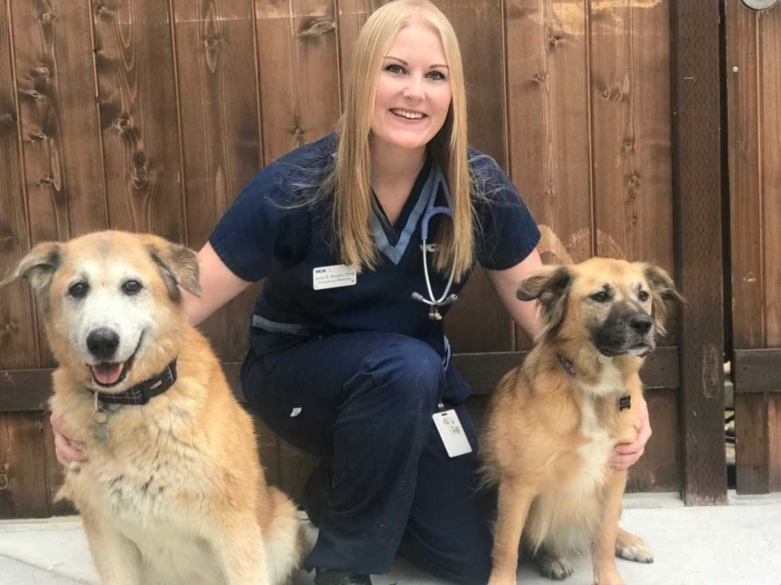 Dustin Schmid Vca Animal Specialty Group