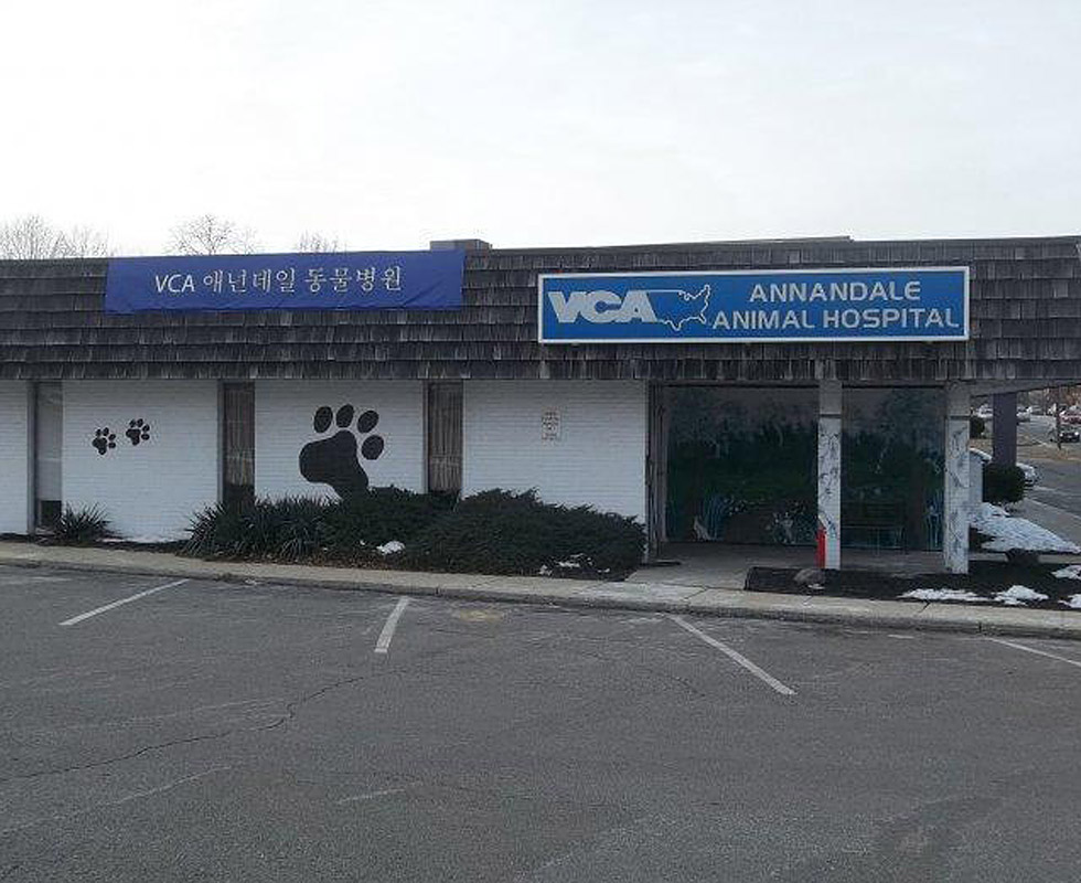 Hospital Picture of VCA Annandale Animal Hospital