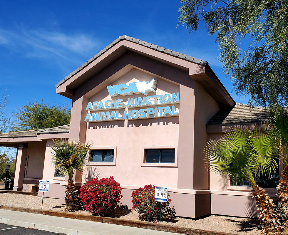 VCA Apache Junction Animal Hospital