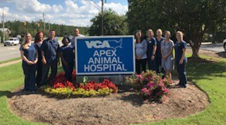 VCA Apex Animal Hospital