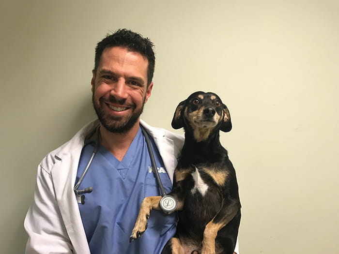 Downers Grove Vets At Vca Arboretum View Animal Hospital Primary