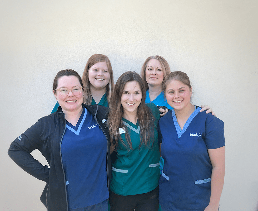 vca animal hospital lake forest