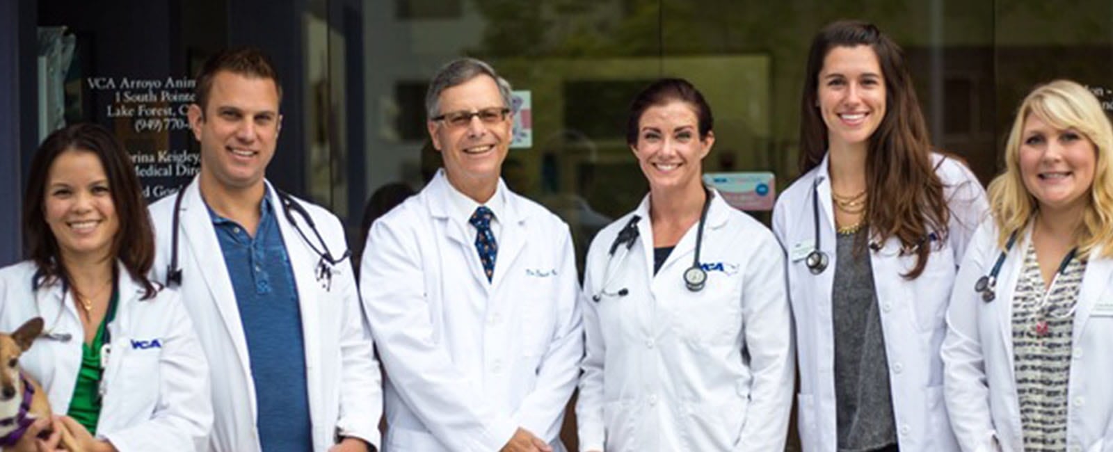 vca animal hospital lake forest