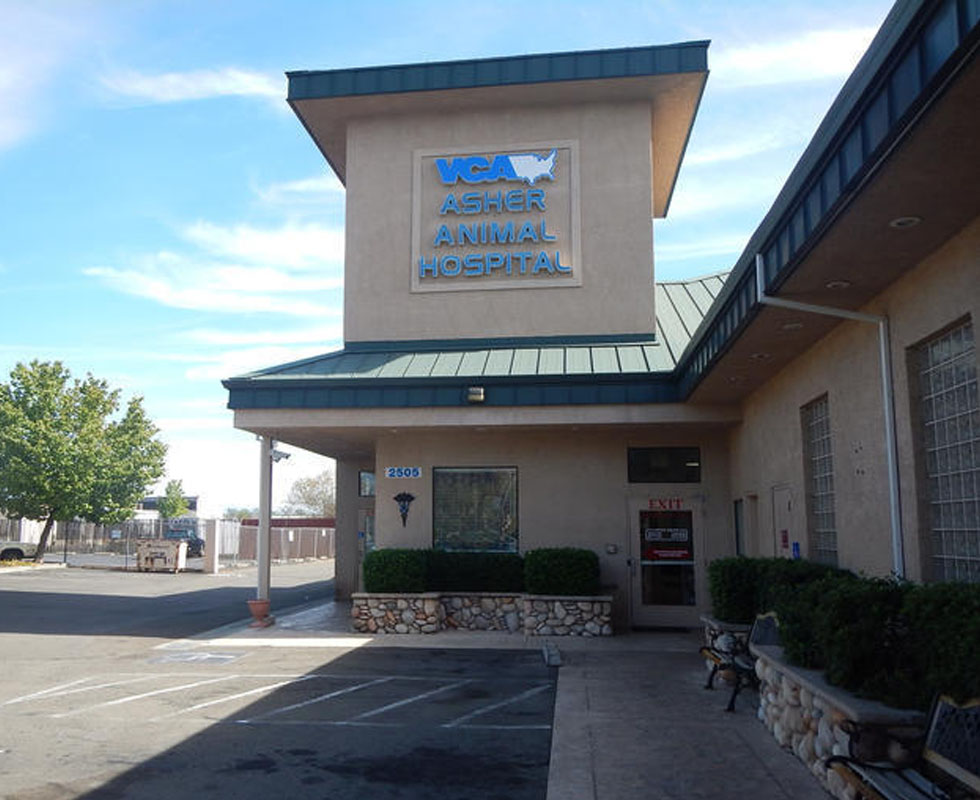 Hospital Picture of VCA Asher Animal Hospital