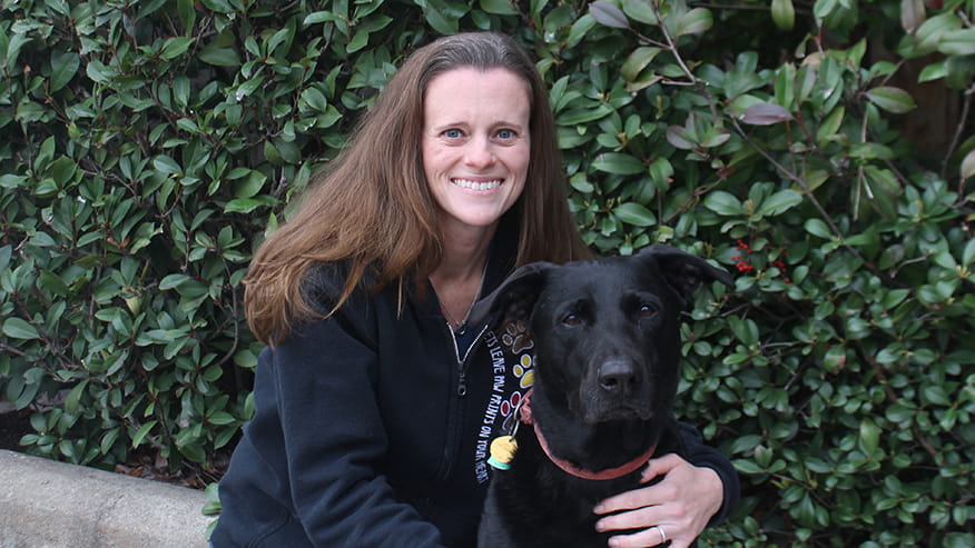 Our Services In Houston Tx Vca Ashford Animal Hospital