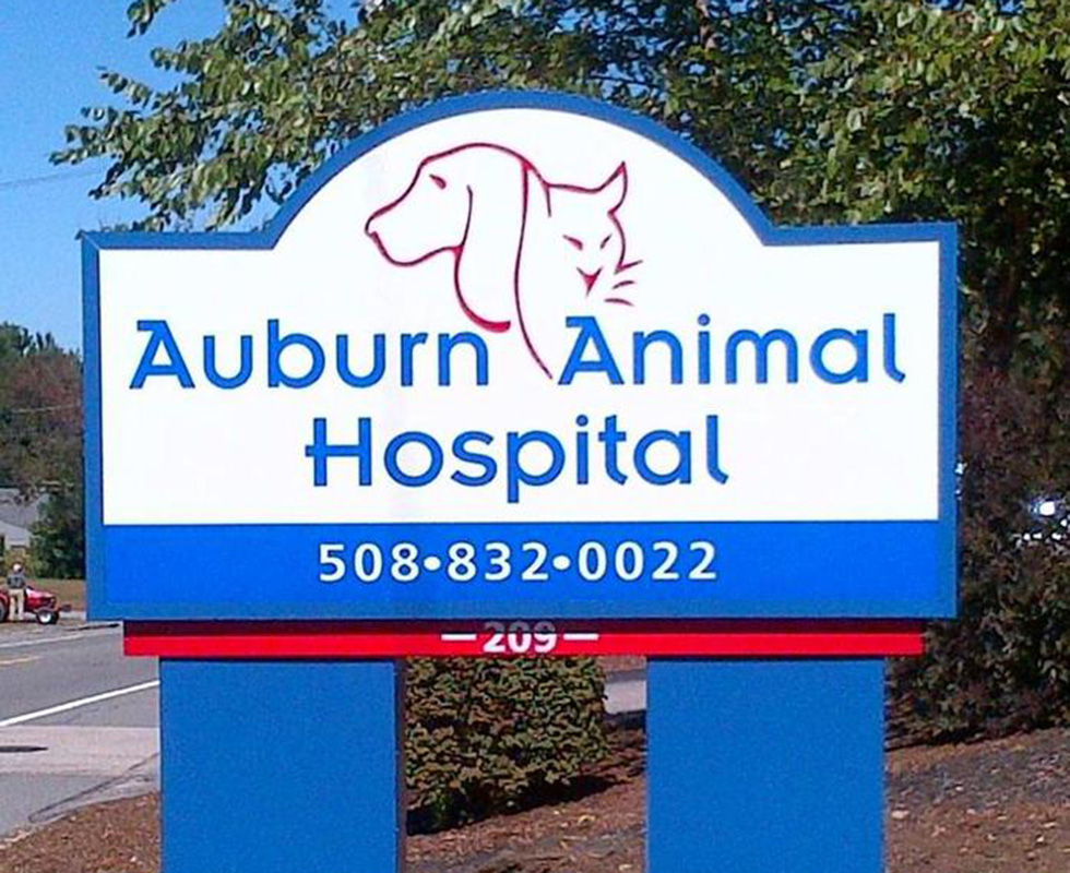 VCA Auburn Animal Hospital