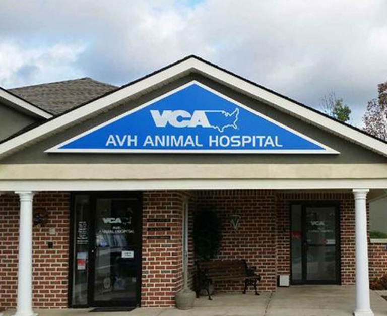 Our Hospital | VCA AVH Animal Hospital