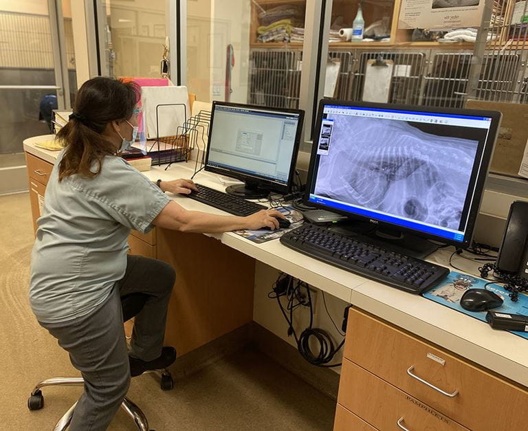 VCA Bakersfield Animal Hospital Staff Page