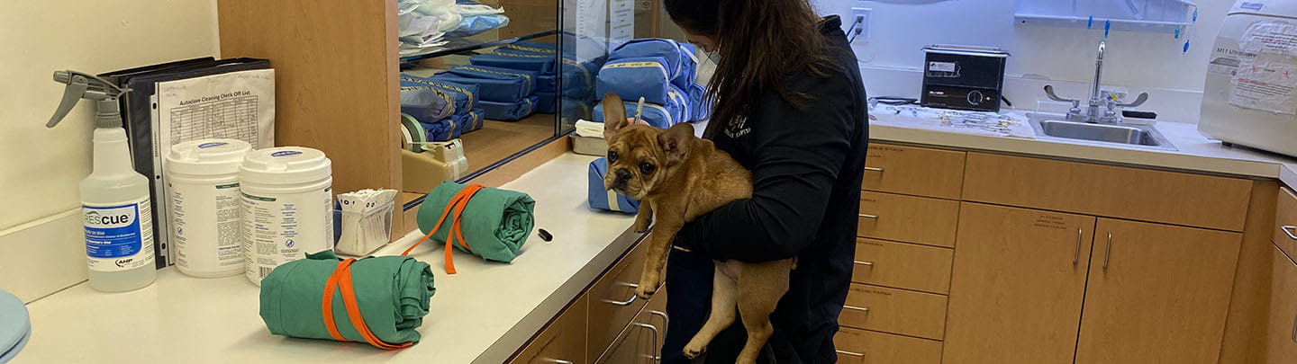 Advanced Care in Bakersfield, CA VCA Bakersfield Animal