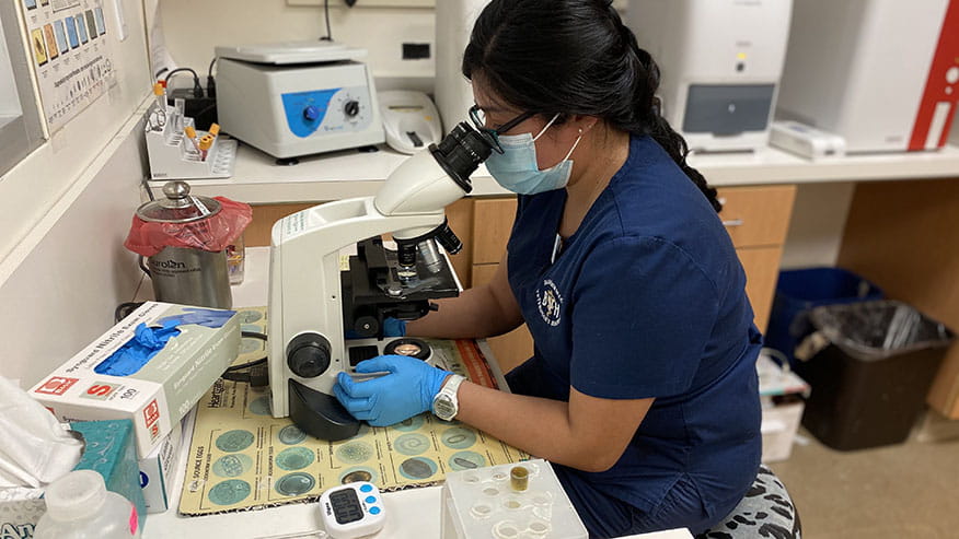 In-House Laboratory