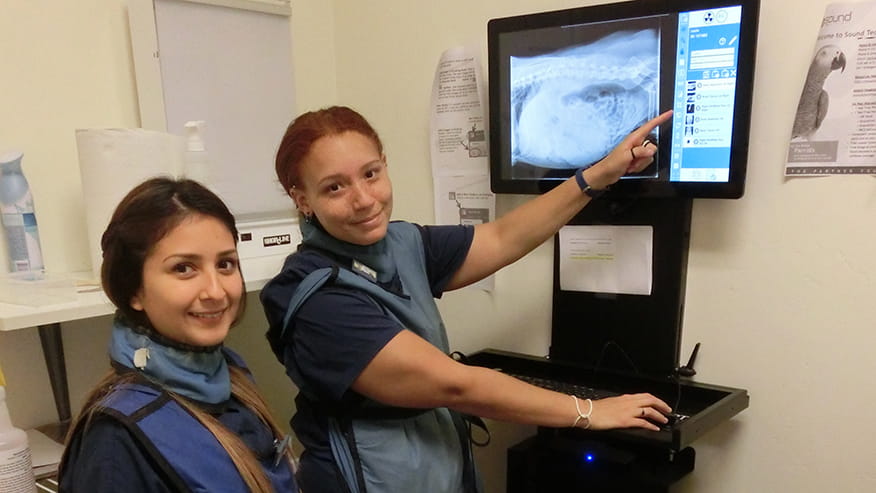 Radiology