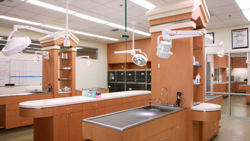 Treatment Area