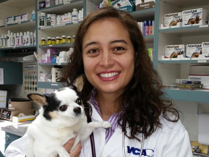 bal coeur animal hospital