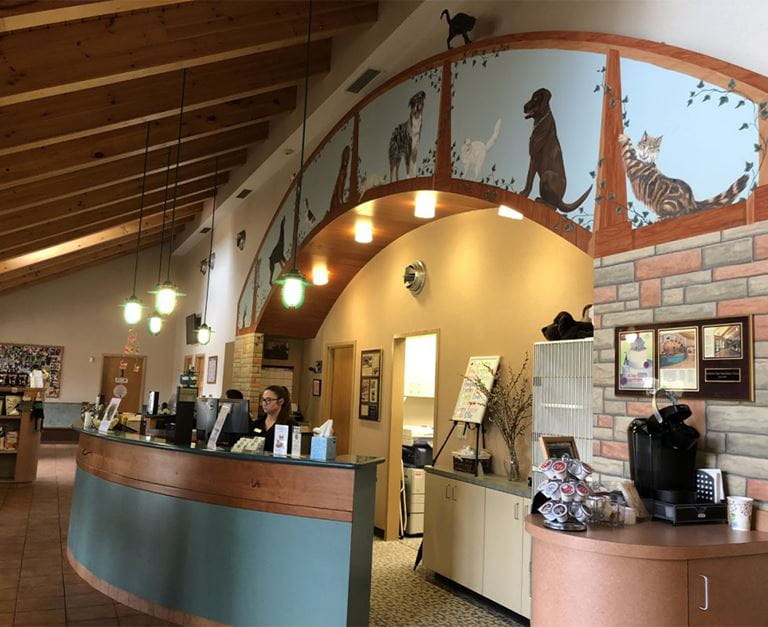 Our Hospital VCA Ballston Spa Animal Hospital