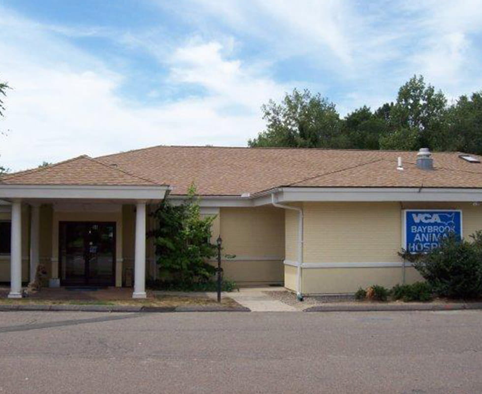 baybrook animal hospital