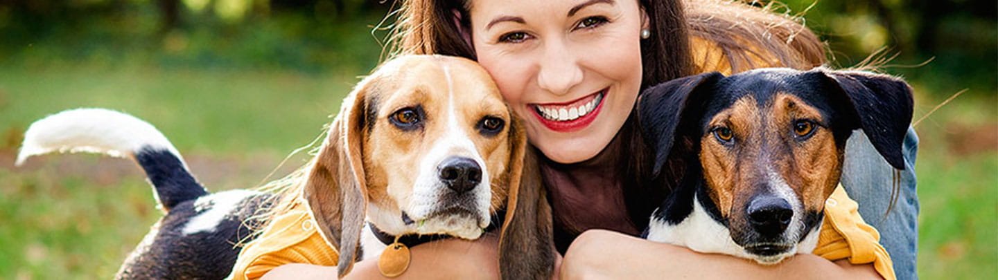 vca bayview animal hospital