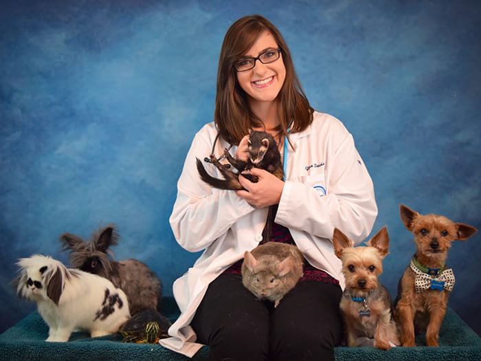 Gina Davis Vca Becker Animal Hospital