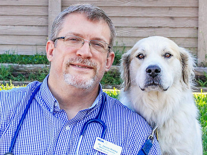 Dr Jason Risley Vca Bedford Meadows Animal Hospital