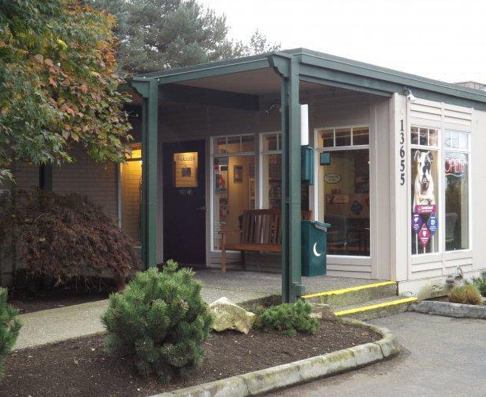 Our Hospital VCA Bellevue Veterinary Hospital