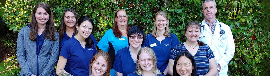 VCA Bellevue Veterinary Hospital | Staff Page