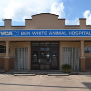 VCA Ben White Animal Hospital