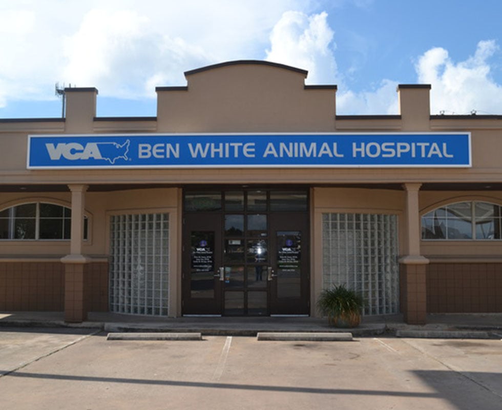 Hospital Picture of VCA Ben White Animal Hospital