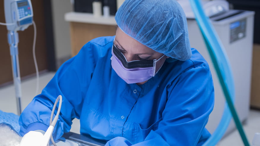 876x493 bent tree Dental